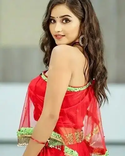 Call Girls Service Srinivaspur